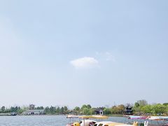 -杭州湾海上花田景区