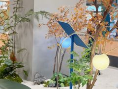 -帕帕拉兹宠物(亚洲旗舰店)