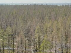 -黄海国家森林公园