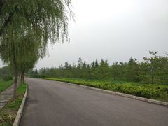 -洨河生态公园