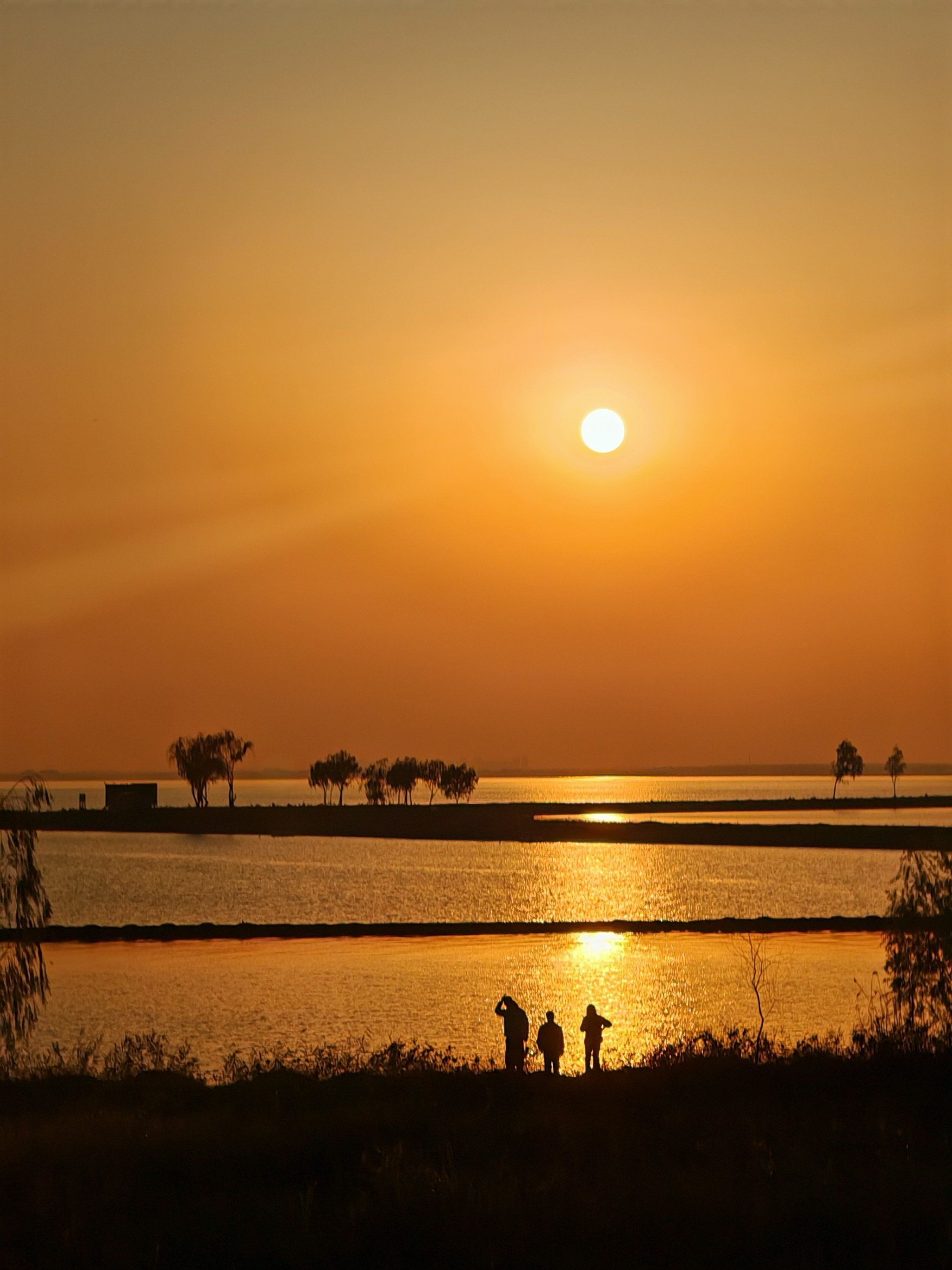 滨湖湿地公园,值得一逛