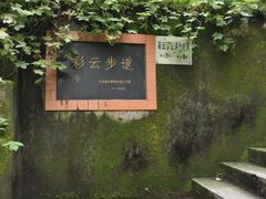 -重庆彩云湖湿地公园