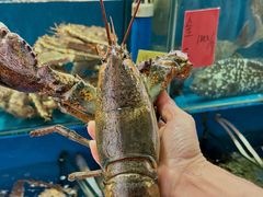 -粤盛海鲜平价店(洛溪食街店)