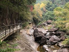 -花岩国家森林公园