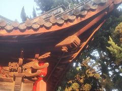 -秋霞圃