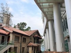 -香港大学