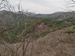 -金龙寺国家森林公园