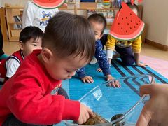 -自然树儿童之家(海珠翠城花园托育.早教校区)