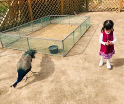 -萌宠亲子动物乐园(槐房万达店)