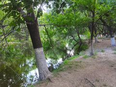 -长白岛森林公园