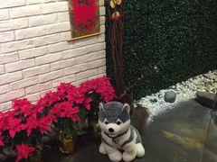 -菩提树·素食餐厅(汇智国际商业中心店)