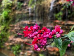 -广州神农草堂中医药博物馆