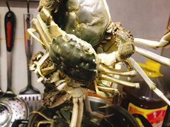 -韩家墅海吉星农产品批发市场