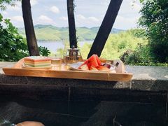 -天目湖涵田半山温泉