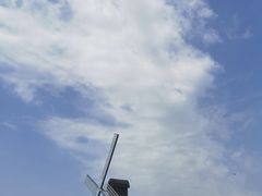 -宁波杭州湾国家湿地公园