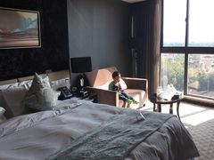 -常州环球恐龙城维景国际大酒店
