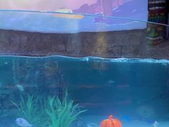 -沈阳海洋探索中心