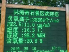 -汤旺河林海奇石景区