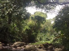 -福清灵石山国家森林公园