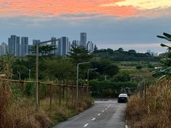 -光明小镇欢乐田园