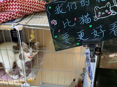 -弗劳尔花艺坊(龙涛店)