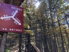 -苏木山森林公园