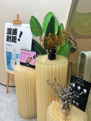 -Fundi张玉珊修身堂·indiba·BTL科技瘦身