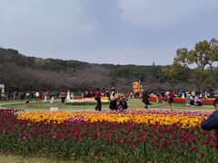 -苏州上方山国家森林公园