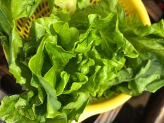 时蔬拼盘-鱼醉无骨鱼·中山脆肉鲩(荔湾路店)