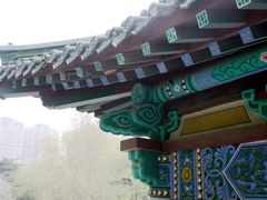 -山东师范大学(千佛山校区)