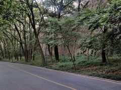 -紫金山山顶公园
