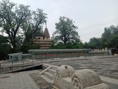 -北京石刻艺术博物馆(五塔寺)