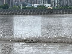 -观澳平台