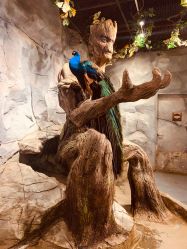 -Zoolung Zoolung动物主题公园(海信广场店)