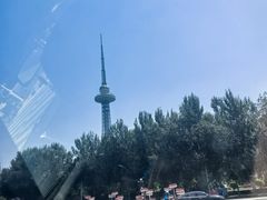 -龙塔