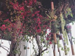 -范设计花园餐酒咖·中西餐·咖啡厅·酒馆