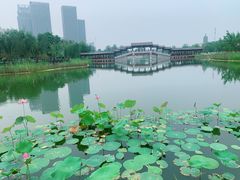 -西海子公园