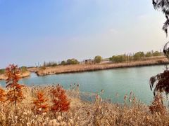 -苏州太湖国际会议中心