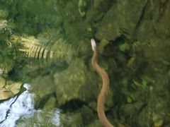 -白云源风景区
