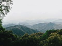 -莫干山风景区