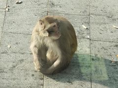 -无锡动物园·太湖欢乐园