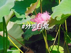-黄兴公园