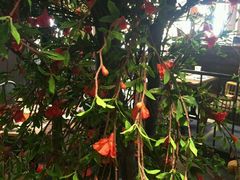 -胡桃里音乐餐厅(陶溪川店)(川湘赣菜·世界百大酒庄直供红酒·音乐表演)