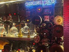 -Darling Queen·Mini·Live·House