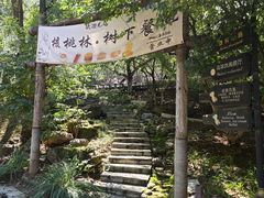 -北京张裕爱斐堡酒庄