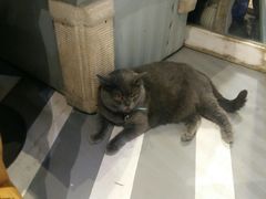 -小时光咖啡馆(开森度假森林店)