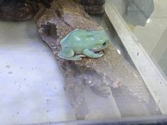 -上海昆虫博物馆