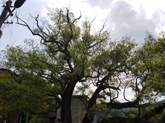 -上坦村