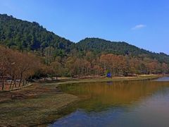 -黔灵山公园