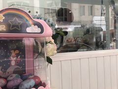 -BABYDOG宝贝狗宠物乐园(欧洲城店)